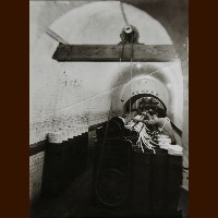 Buy Now Muvee Reviews Bootstrap HTML5 Template